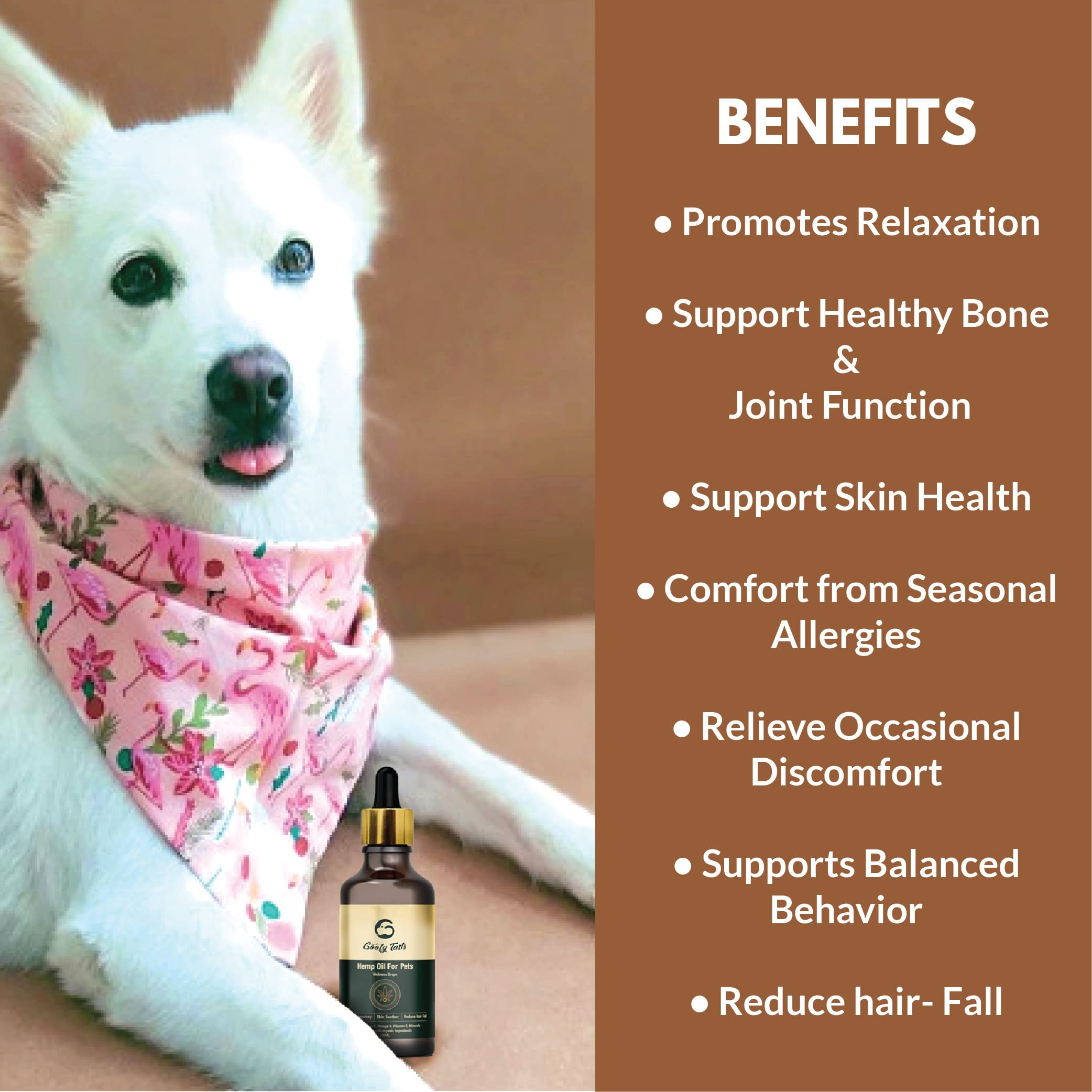 Goofy Tails Hemp Seed Oil for Dogs and Cats 50 ml, Cold Pressed Hemp Oil for Dogs and Cats, Anti Inflammatory Omega Rich Dog Supplement (3-6-9) 1