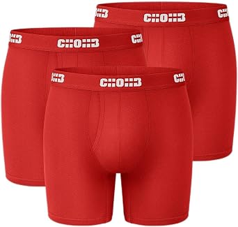 Men's Underwear Micro Modal 3 Pack Boxer Briefs Open Fly