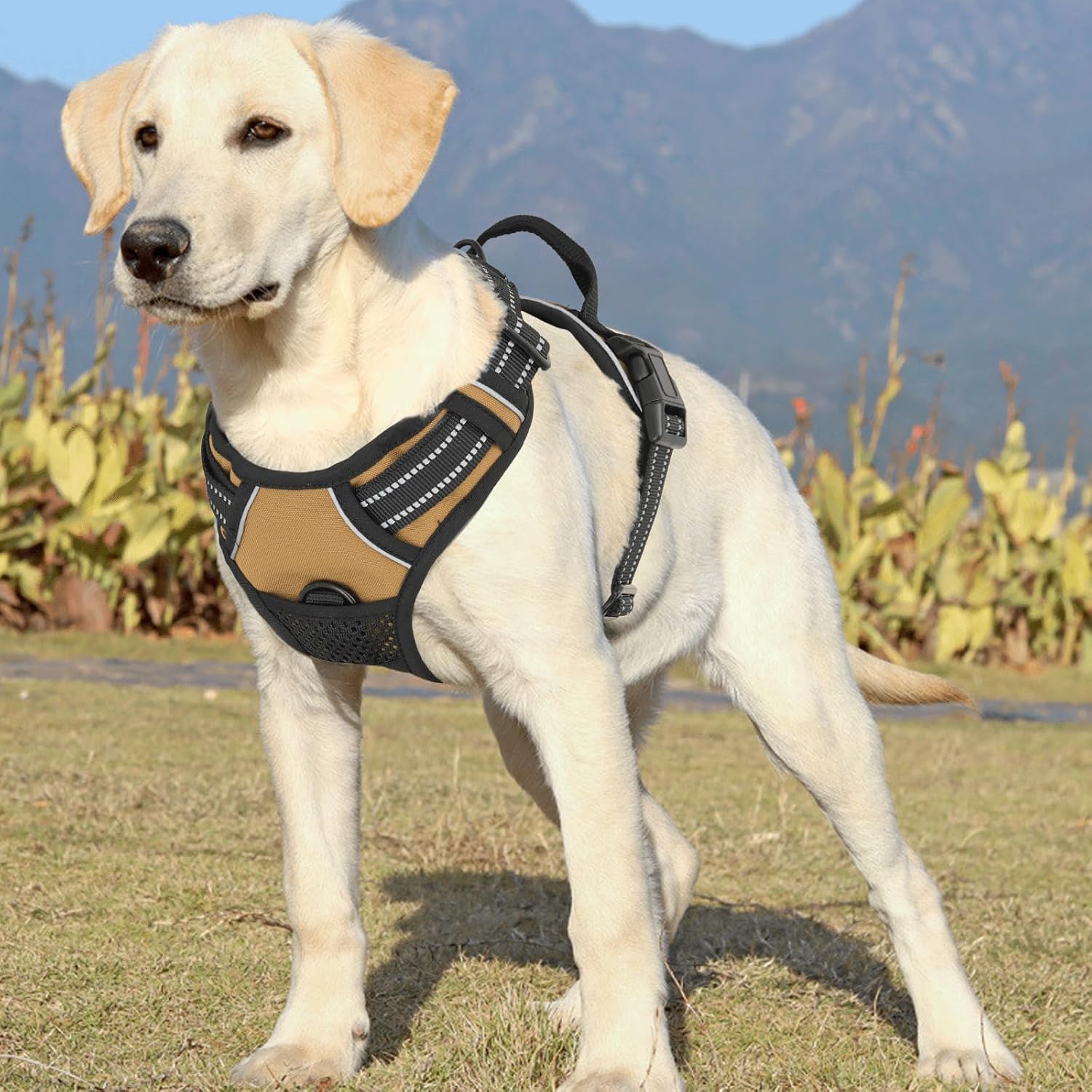 MoNiBloom Reflective Dog Harness, No Pull Vest Harness with Handle, Adjustable Soft Padded Pet Harness for Large Dogs, Light Brown, L