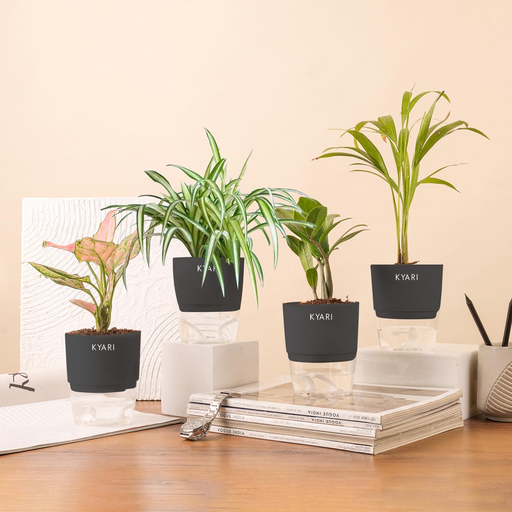 KYARI Aglaonema Pink-Areca Palm-Zamia Green (ZZ)-Spider Combo of 4 Indoor Plants for Living Room | Live Plants | Plants with Grey Pot for Home Air purifier plants | Plants for Home Decor & Garden (B0CHYV4WW1) Amazon Price History, Amazon Price Tracker