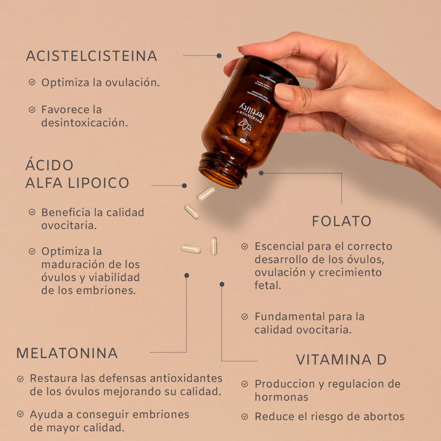 Excellence Bajas Respondedoras – Fertilidad Femenina para Baja Reserva Ovárica – Folato, Resveratrol, Salvia, Ácido Alfa Lipoico – Suplemento Antioxidante – 60 Cápsulas
