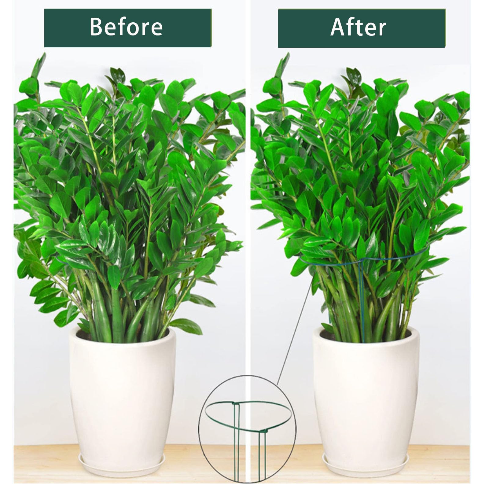 Lot de 10 piquets de support en métal pour plantes de jardin, demi-ronds pour plantes d'intérieur et d'extérieur – 30 cm x 35 cm