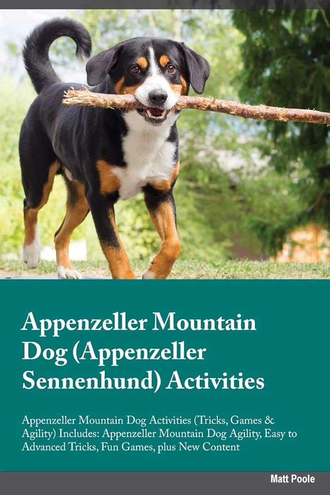 Appenzeller Sennenhond Appenzeller Sennenhond