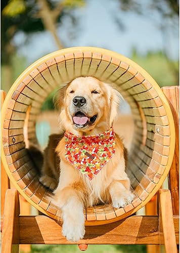 Miniatura 4 de Lionheart glory Bandana de otoño para perro, 1 paquete de bufanda lavable suave para perro, pañuelo cuadrado ajustable para perros medianos y grandes