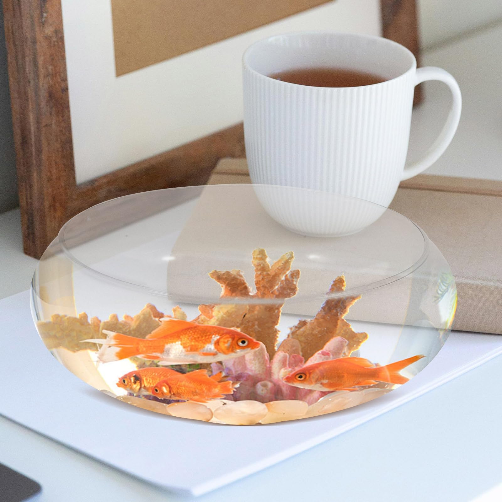 Operitacx Glasfischschale Rund 9.84X9.84X3.94 Zoll Klarer Kleiner Fischtank Hydroponischer Pflanzentopf Tischdekoration Für Zuhause Büro Hochzeit