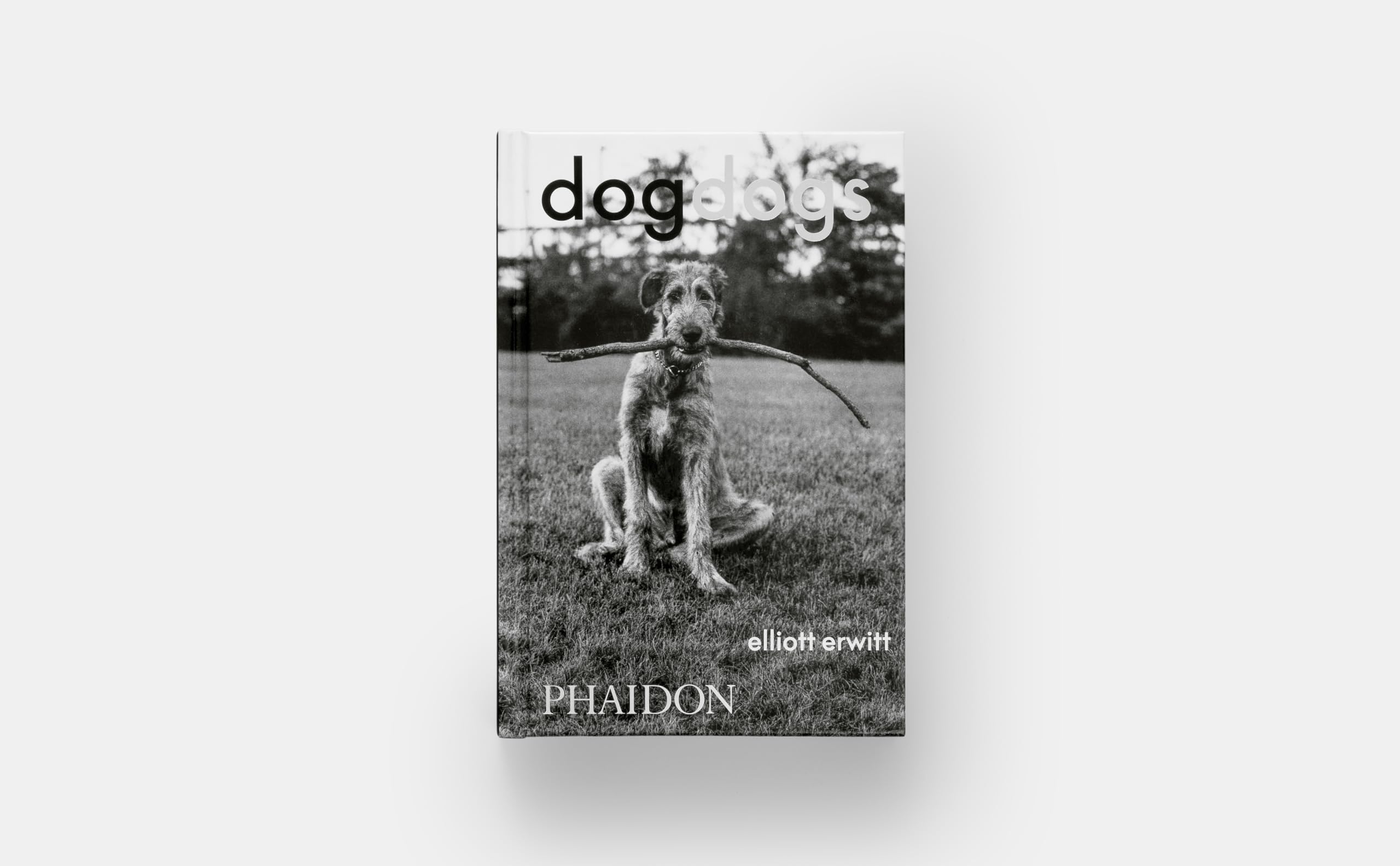 Dogdogs (PHOTOGRAPHY)