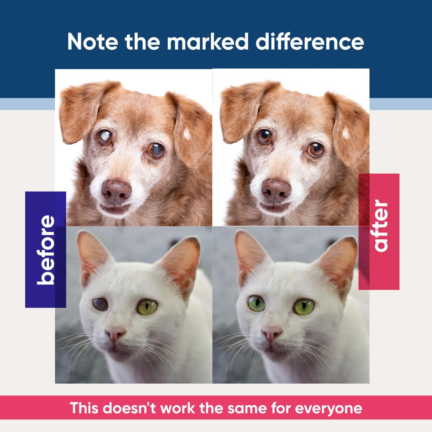 EYEMYCIN pet Eye Drops 1 fl oz Eye Drops for Dogs and Cats Vet-Recommended Dog Eye Infection Treatment to Soothe Infection Allergy,Relieve Dry Eyes Pink Eyes, Pet Tear Stain Cleaner Horses & Birds — Amazon image 5