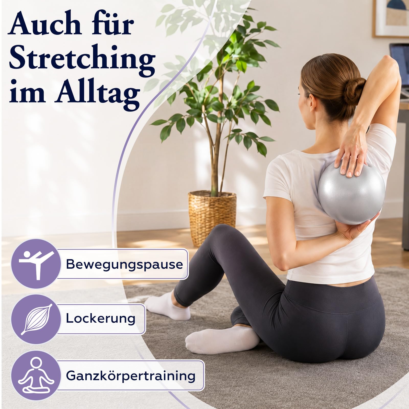 BBTO Juego de 16 Pelotas de Pilates 25 cm Tamaño Pequeño Antideslizantes, a Prueba de Explosiones con Red y Dispositivo de Inflado para Fitness Equilibrio y Fisioterapia (Azul, Morado, Rosa, Gris)