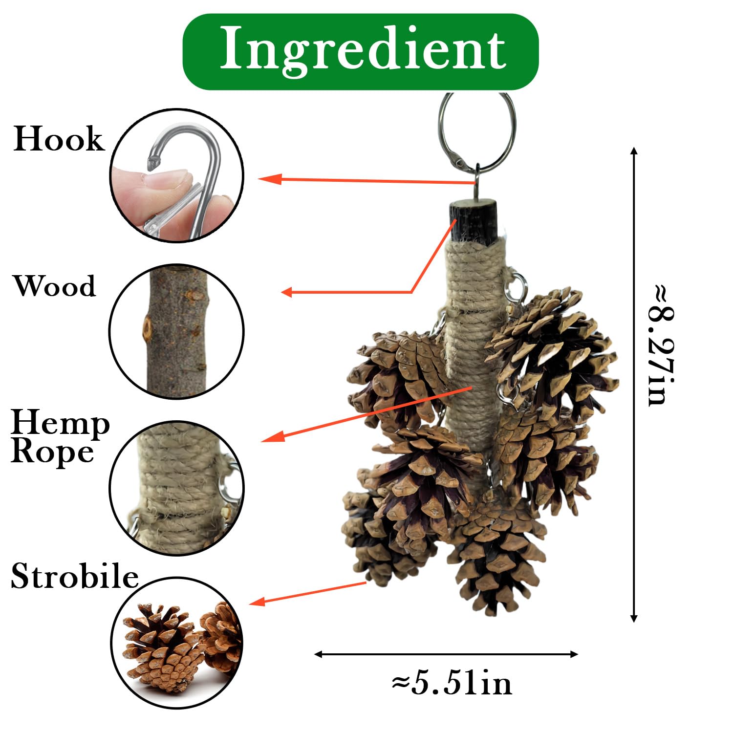 WACURRENTHYD Bird Toys with 8 Pine Cones - Natural Wooden Parrot Toys, 8 Inch Hangable Chewing Sticks Toys for Conures Parakeets Cockatoo African Grey Amazon Parrots — view 2