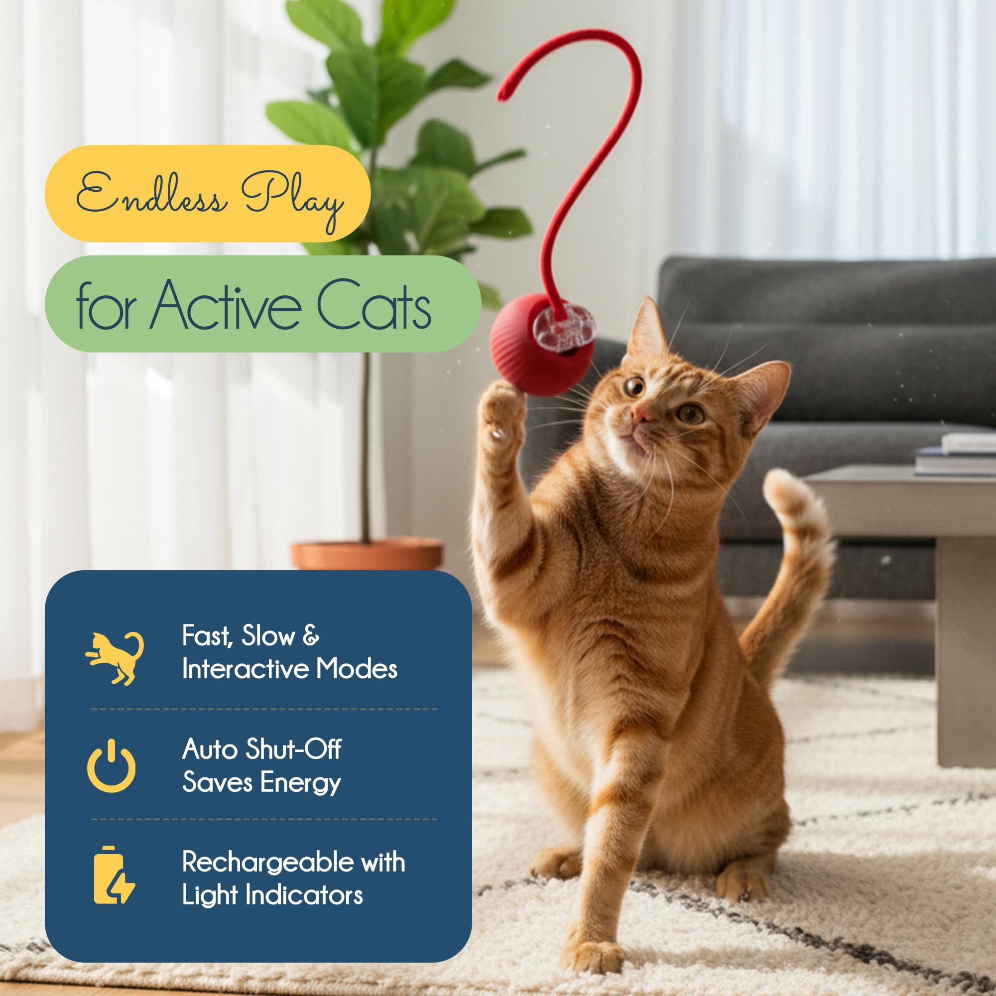 Oh My Cat! Juego de juguetes para gatos, 3 juguetes interactivos para gatos, bola de movimiento automático con luces, juguete de hierba gatera de felpa y regalo de pata de menta para gatos, regalos