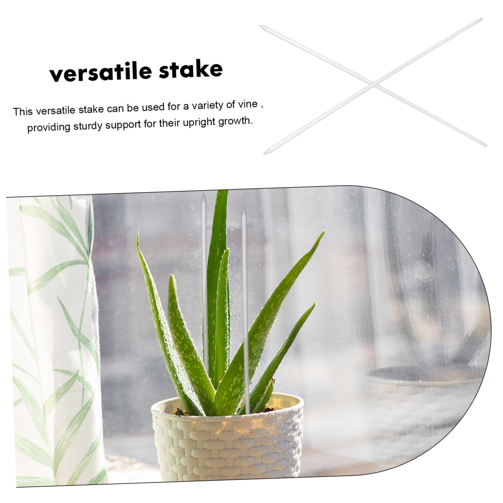 BESTonZON 2 Ensembles Support De Plantes Acrylique Transparent Lot de Piquets pour Fleurs Et Plantes Grimpantes Système De Soutien Vertical pour Et Intérieur 16 Pièces * 2
