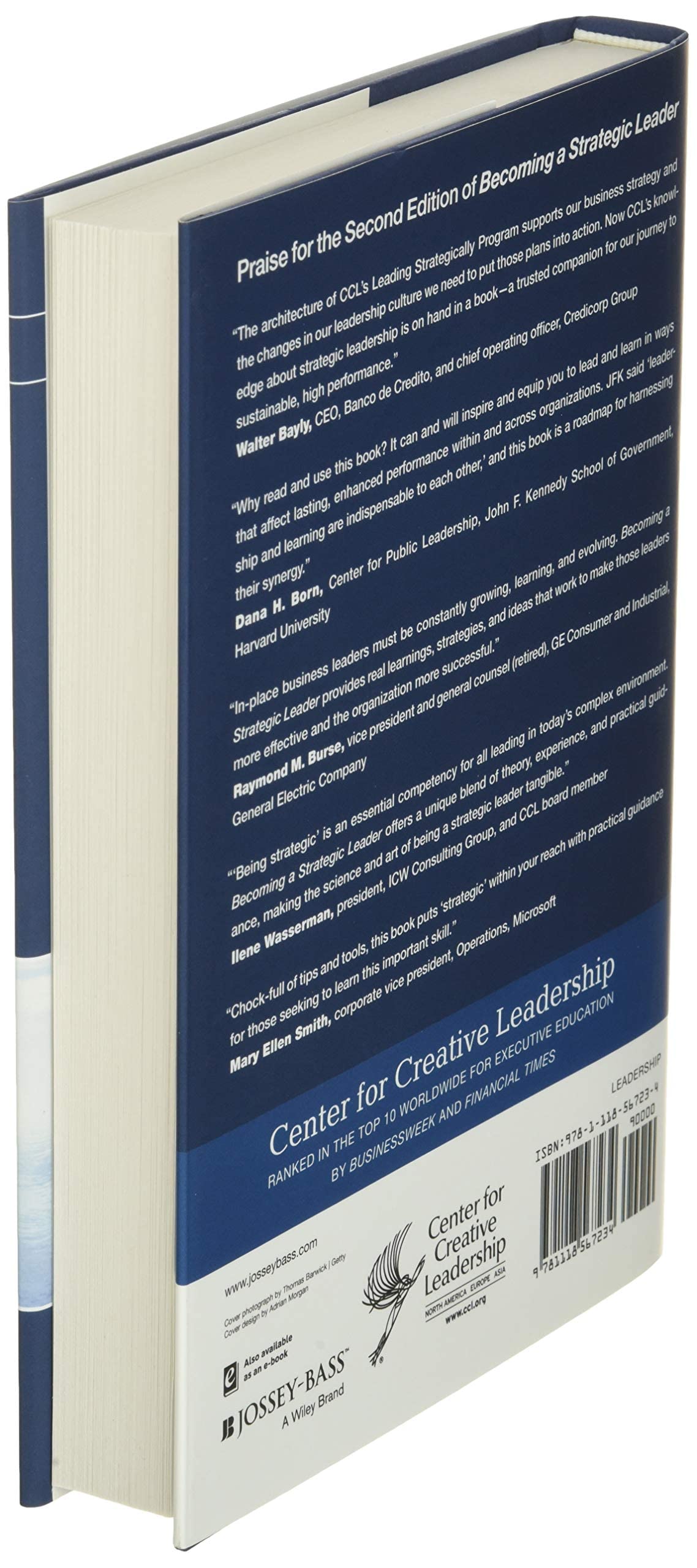 Becoming a Strategic Leader: Your Role in Your Organization's Enduring Success - Image 4