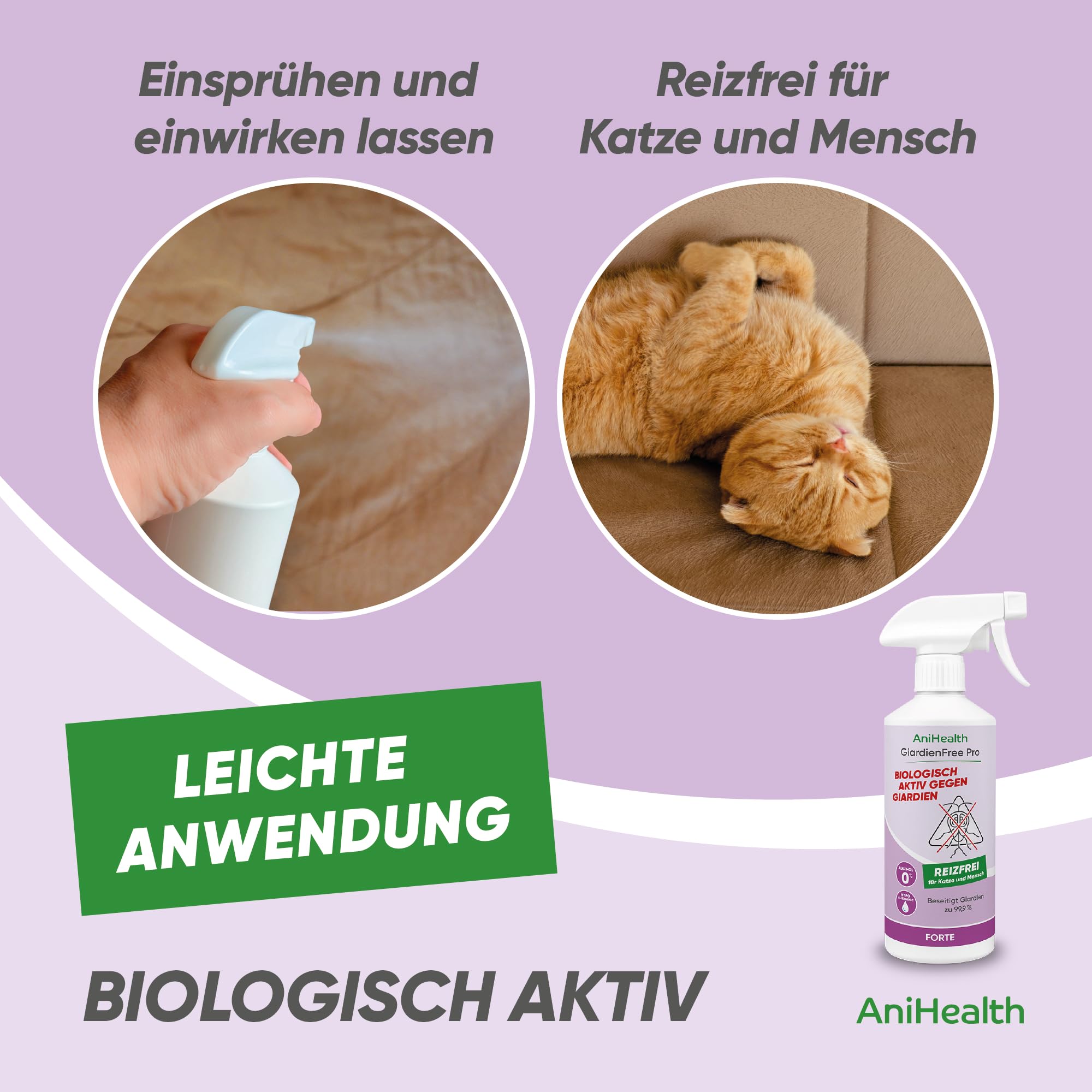 Giardien Hygiene-Spray Katze | tötet 99,9% Giardien + Zysten bei der ersten Anwendung auf Flächen, Gegenständen, Körperstellen | R E I Z F R E I durch Bioseptika HOCl – GiardienFree Pro 500ml