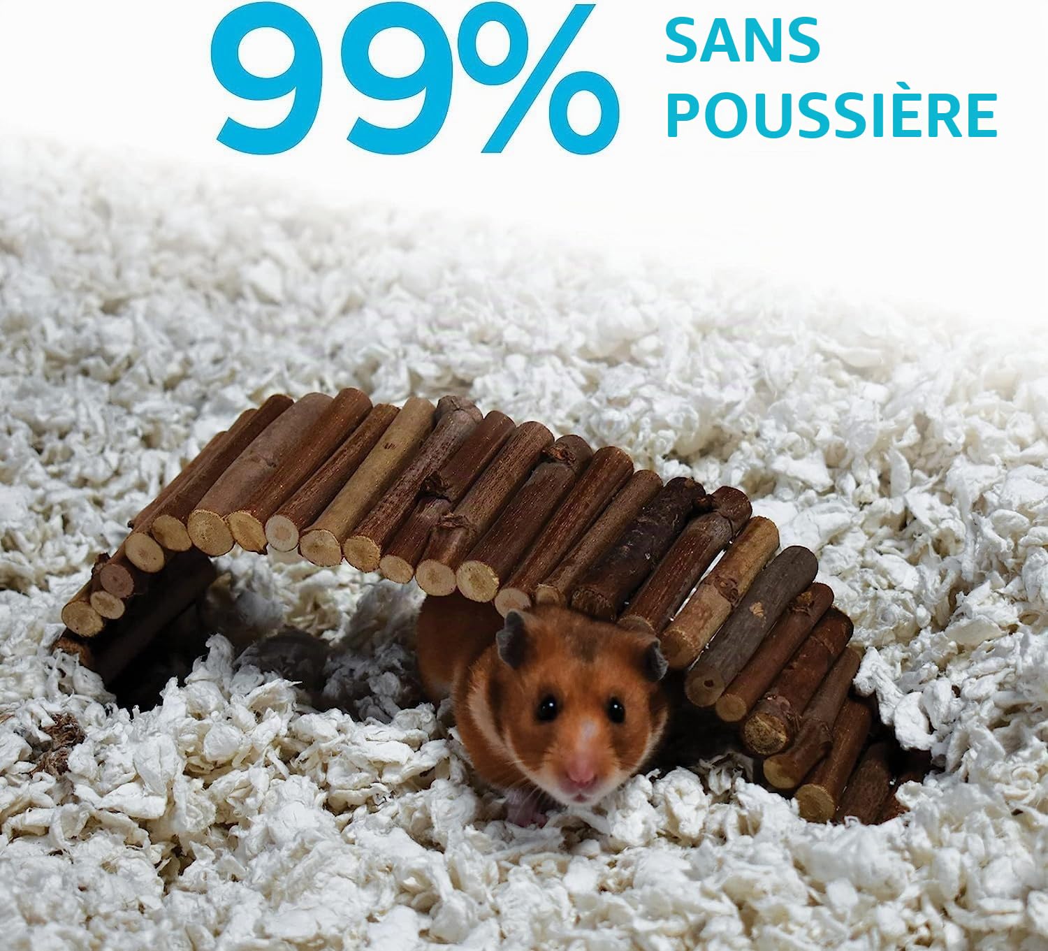 Carefresh Litière en Papier Naturel 99% sans poussière pour Petit Animal Domestique avec contrôle des odeurs, 50 L