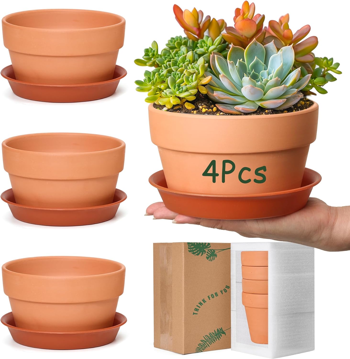 T4U 6 Inch Shallow Terracotta Pots, 4 Pcs Large Clay Pots for Plants with Drainage Holes and Saucer, Terracotta Plant Pots Bulk, Terra Cotta Pots for Succulent Cactus, Indoor, Outdoor, Wedding Favor
