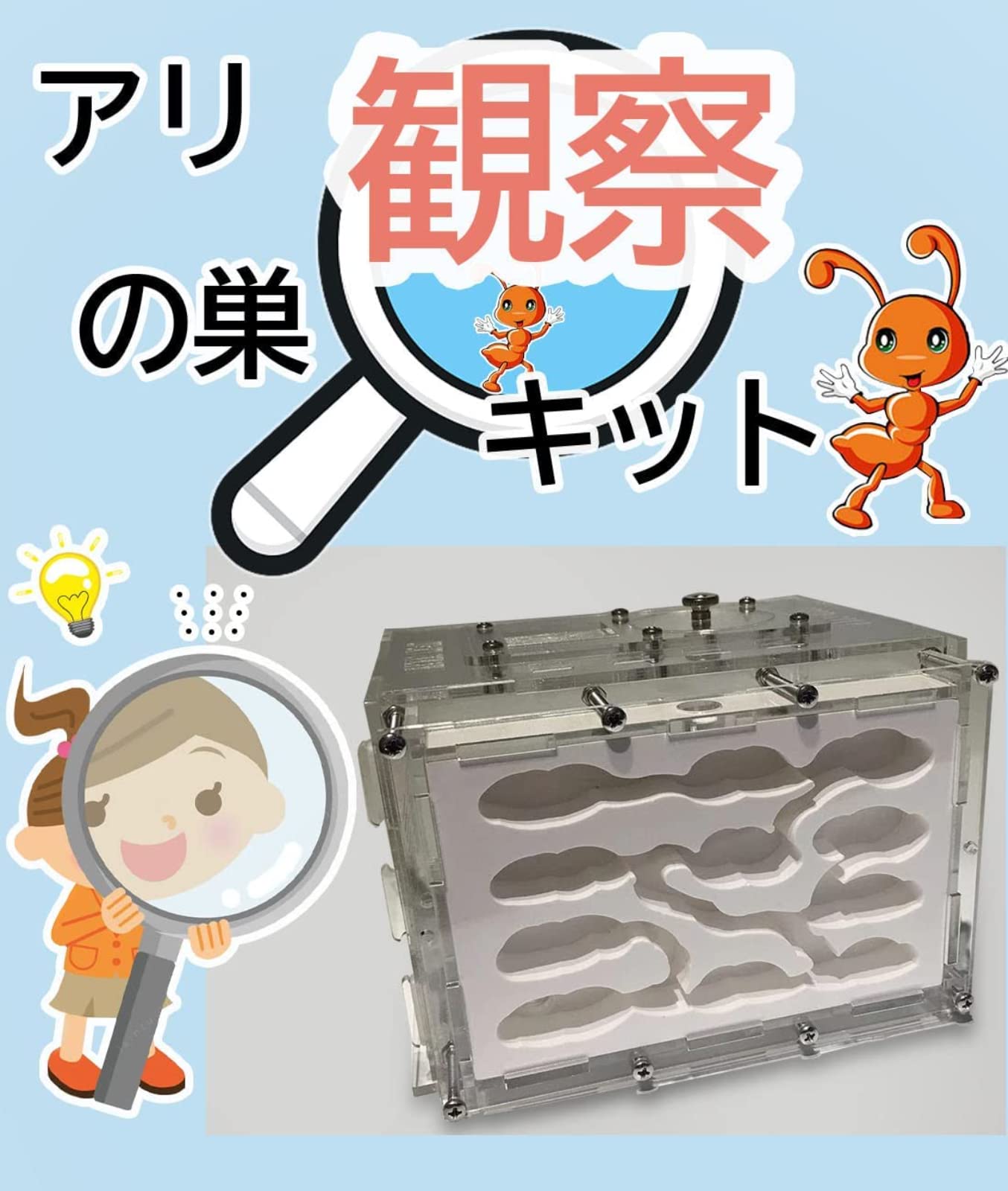 Amazon.co.jp: アリ飼育キット 石膏製巣箱 透明アクリル製ケース アリ