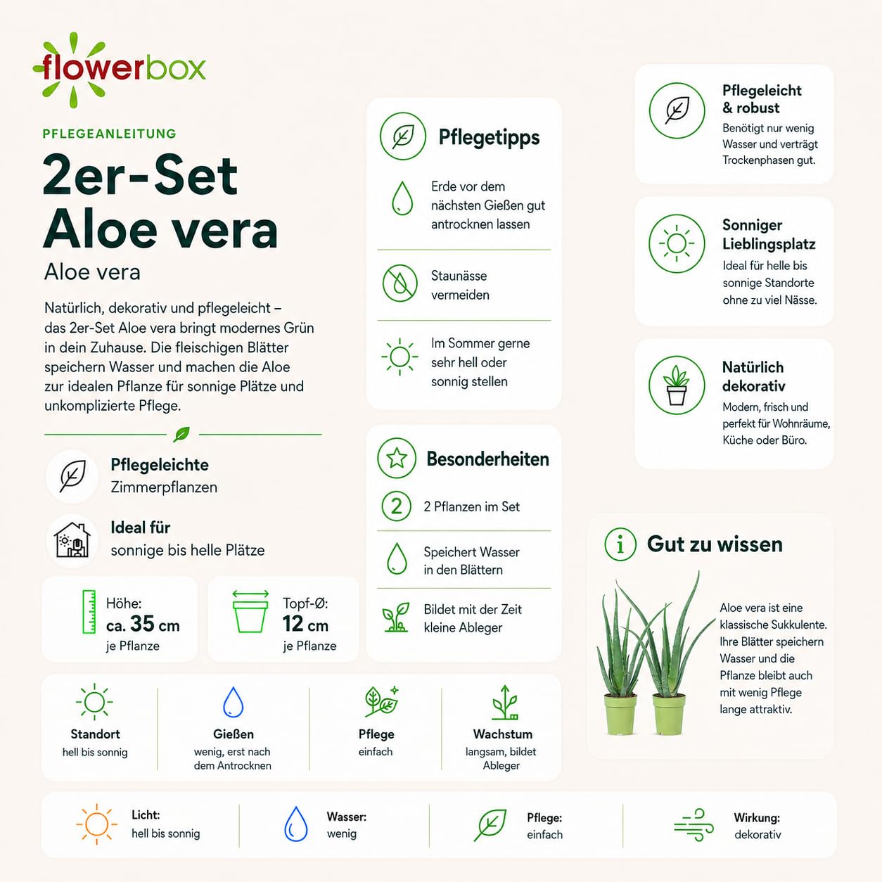 2er-Set Echte Aloe - pflegeleichte Zimmerpflanze, Aloe vera - Höhe ca. 40 cm, Topf-Ø 12 cm