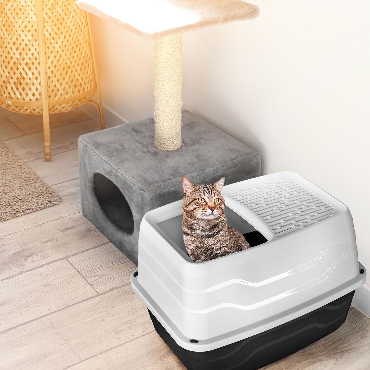 Patam lettiera chiusa per gatti con ingresso dall’alto e fondo rimovibile 56 cm x 40 cm x 38 cm con paletta omaggio Made in Italy – Birba Grigio