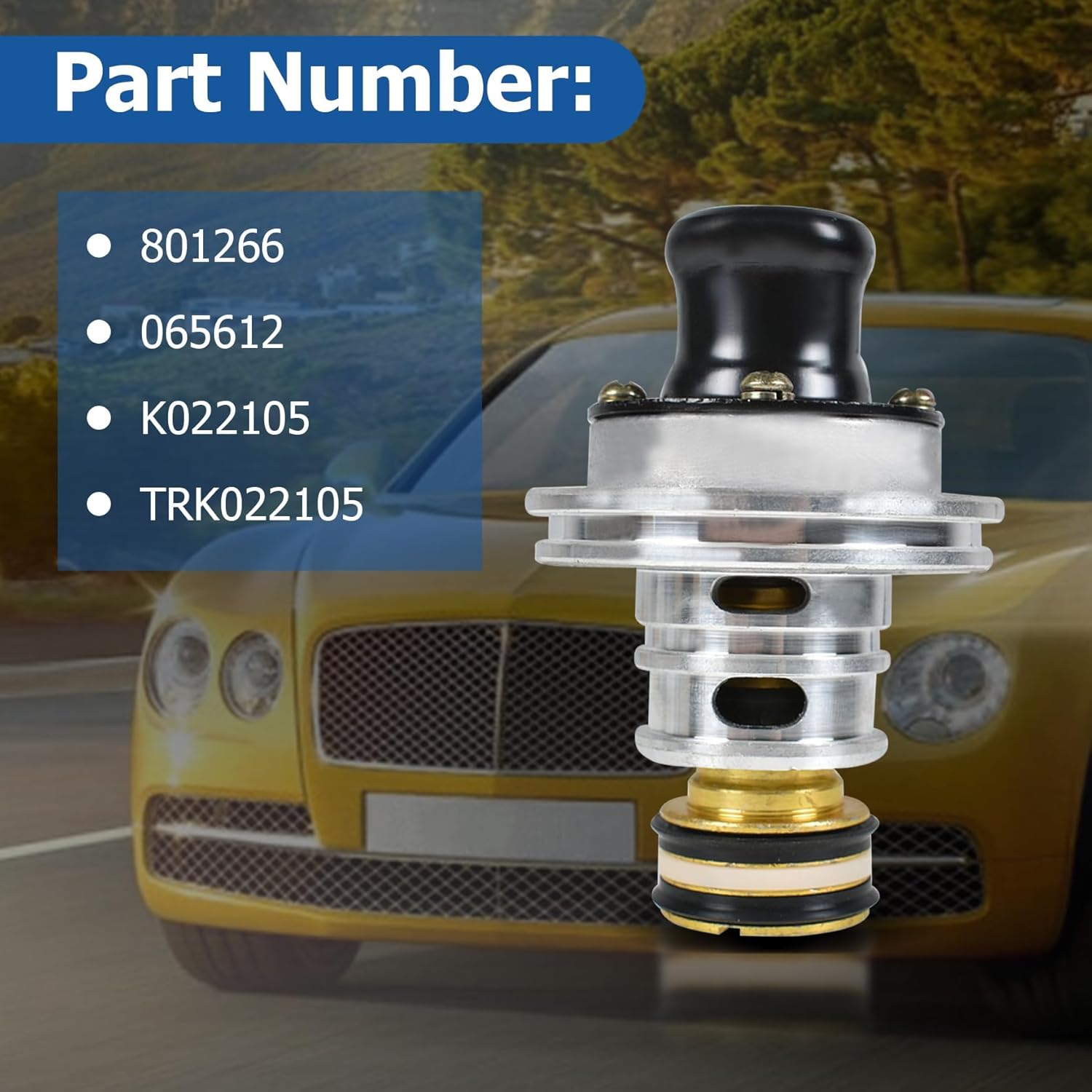 WFLNHB Purge High Boost Purge Valve Kits Set AD-IP 801266/065612 Replacement for K022105