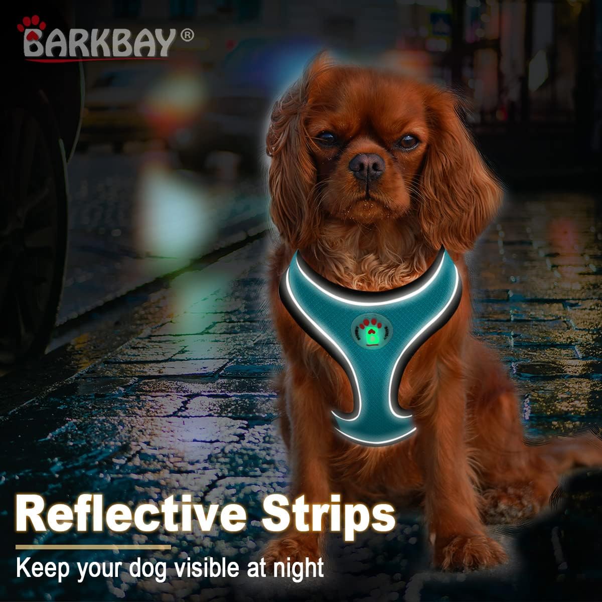 BARKBAY Reflective Breathable Soft Air Mesh No Pull Puppy Dog Vest Harness(Blue,S)