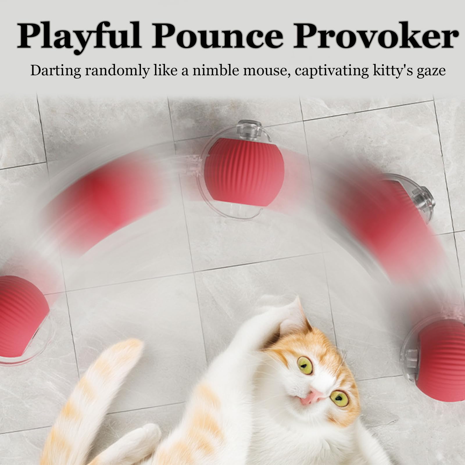 XUDUOO Cat Toys for Indoor Cats Adult Interactive Dog Toys - Image 2