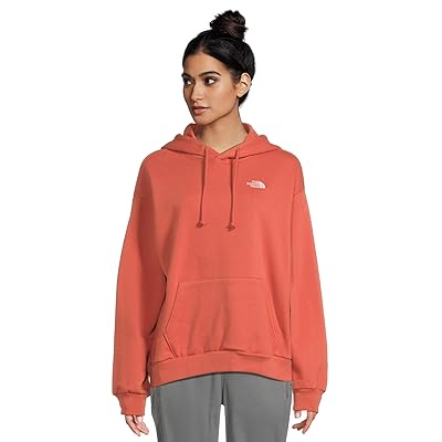 The North Face Evolution Embroidered Oversized Hoodie Women