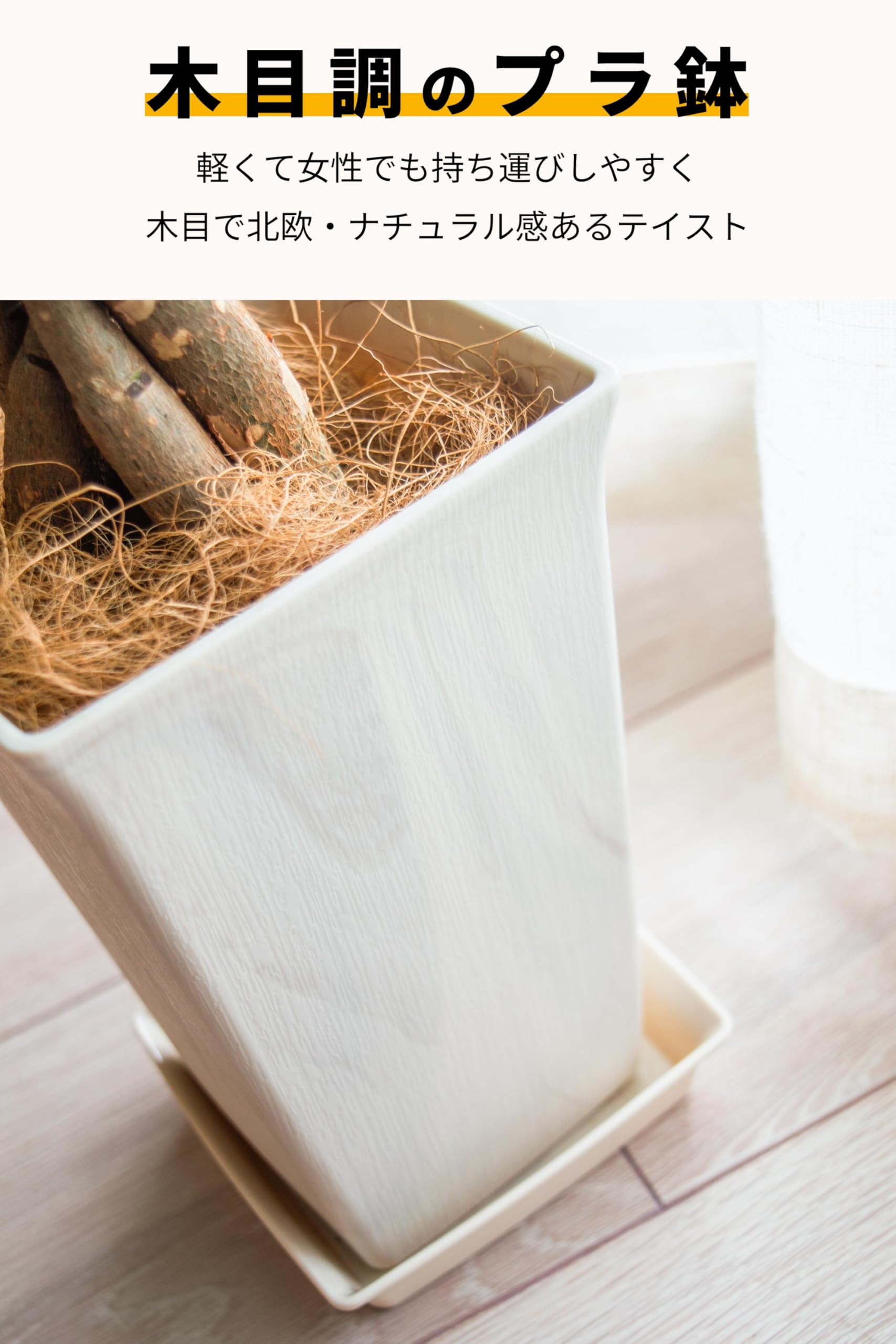 Amazon｜[ miipas ] パキラ 5号鉢 観葉植物 本物 ねじり
