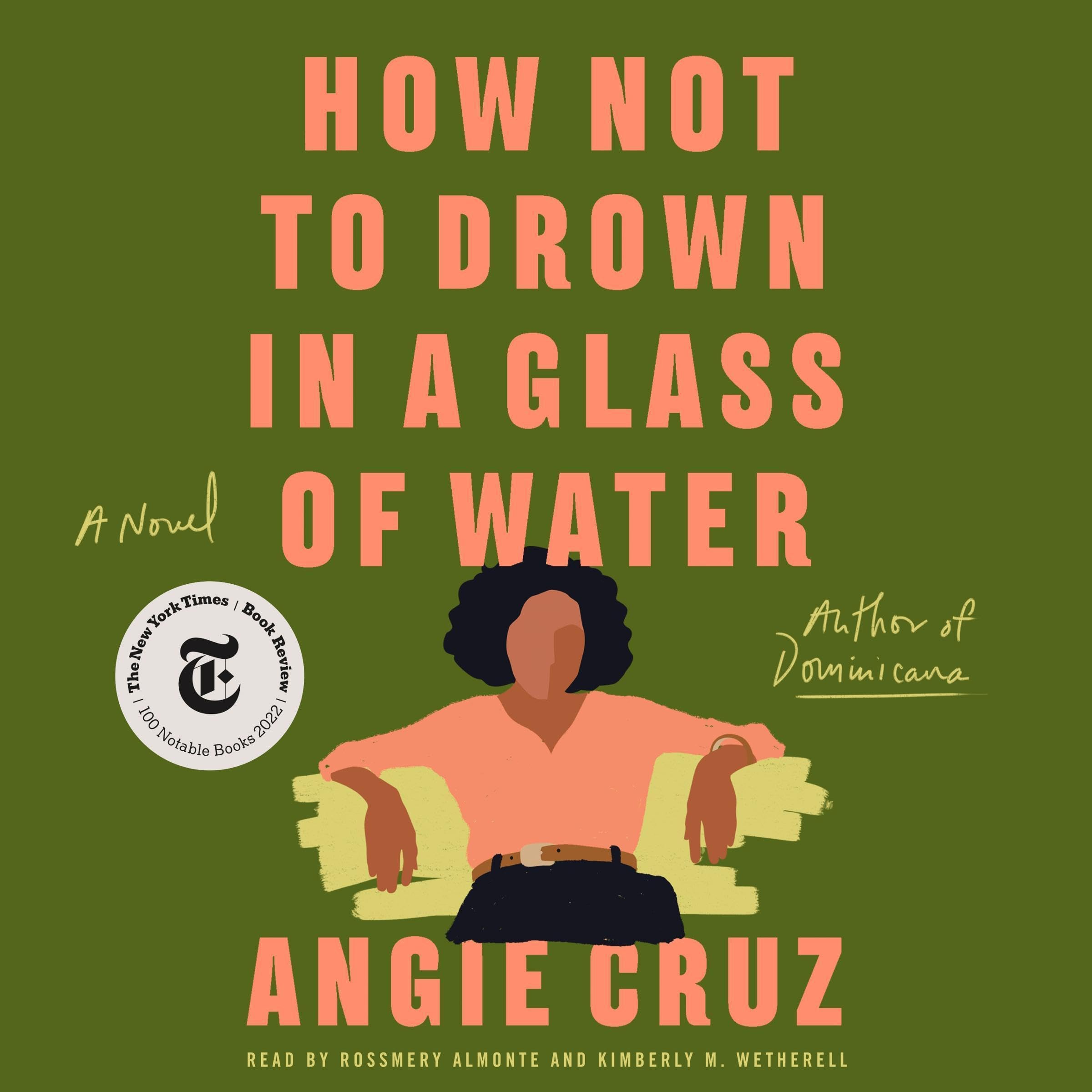 Cover art for How Not to Drown in a Glass of Water