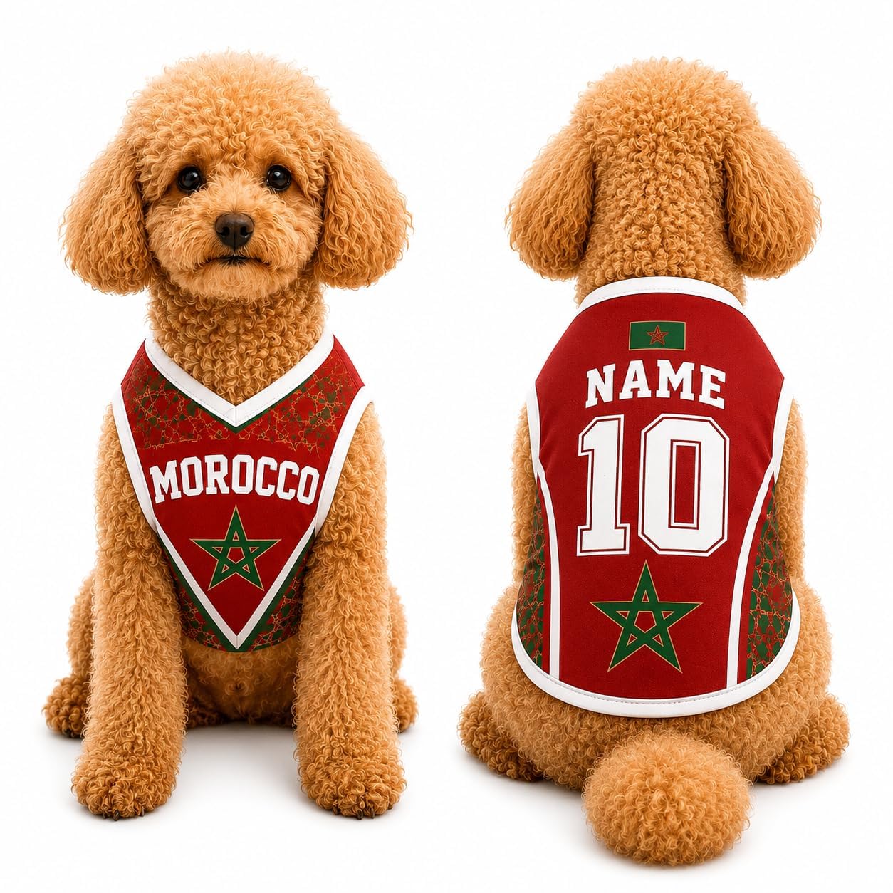 Custom Dog Football Jersey with Name Number Logo, Personalised 2026 Pet Jersey, Breathable Quick Dry T-Shirt for Small Medium Large Dogs, Gift for Fans