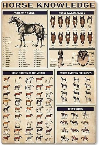 Miniatura 9 de Carteles de metal para el cuidado del caballo, guía, decoración de pared, carteles de hojalata de vaquero, decoración del club de granja, placa de