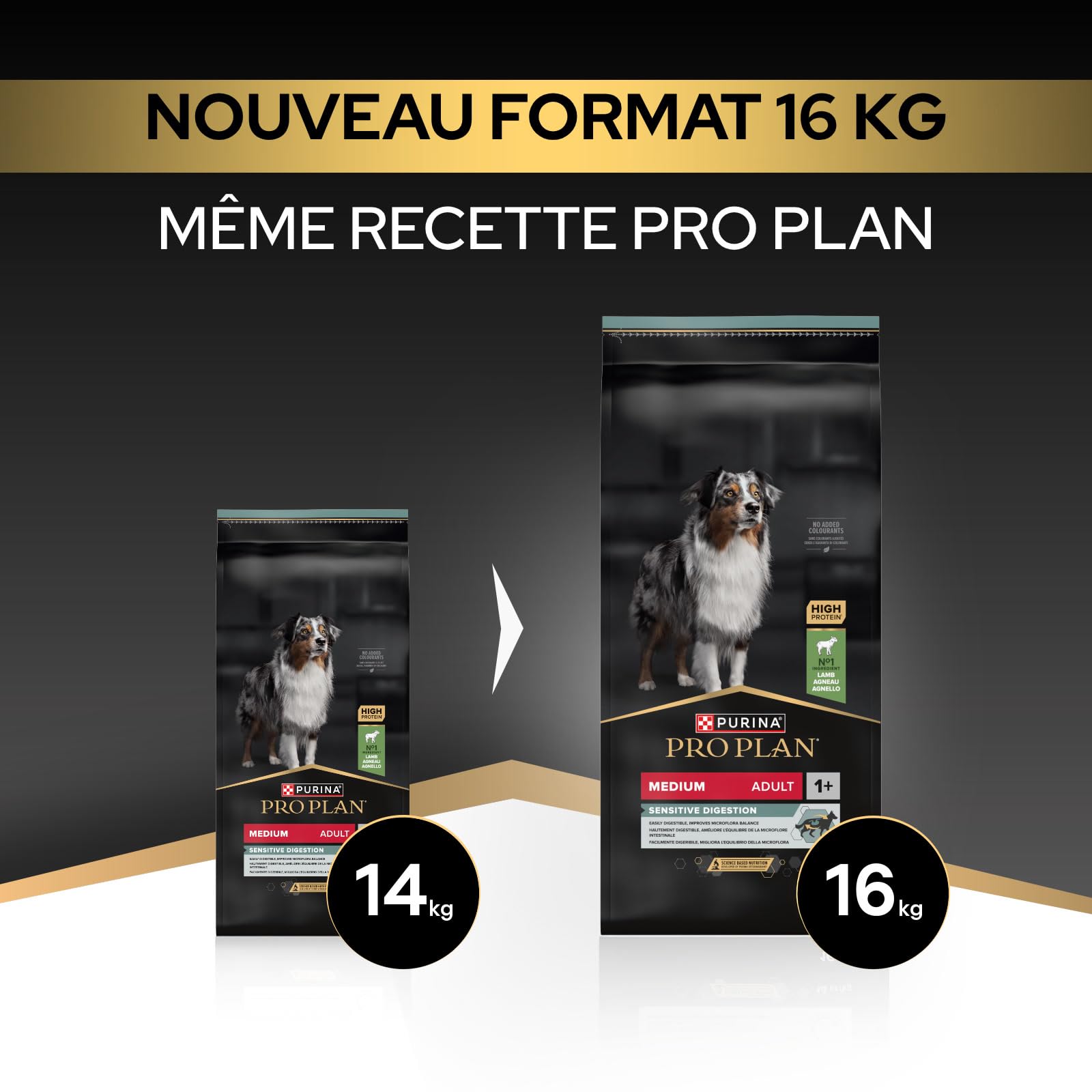 Purina Pro Plan Sensitive Digestion - Croquettes Chien Moyen Agneau - 16 kg | Croquettes Chien Moyen Digestion Sensible Saveur Agneau - Microflore renforcée via prébiotiques - Alimentation Chien