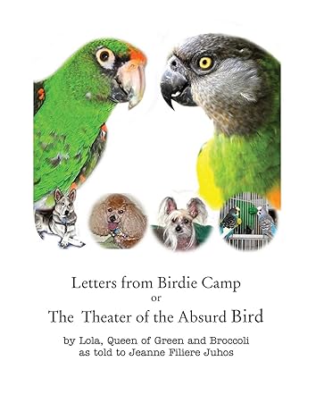Letters from Birdie Camp