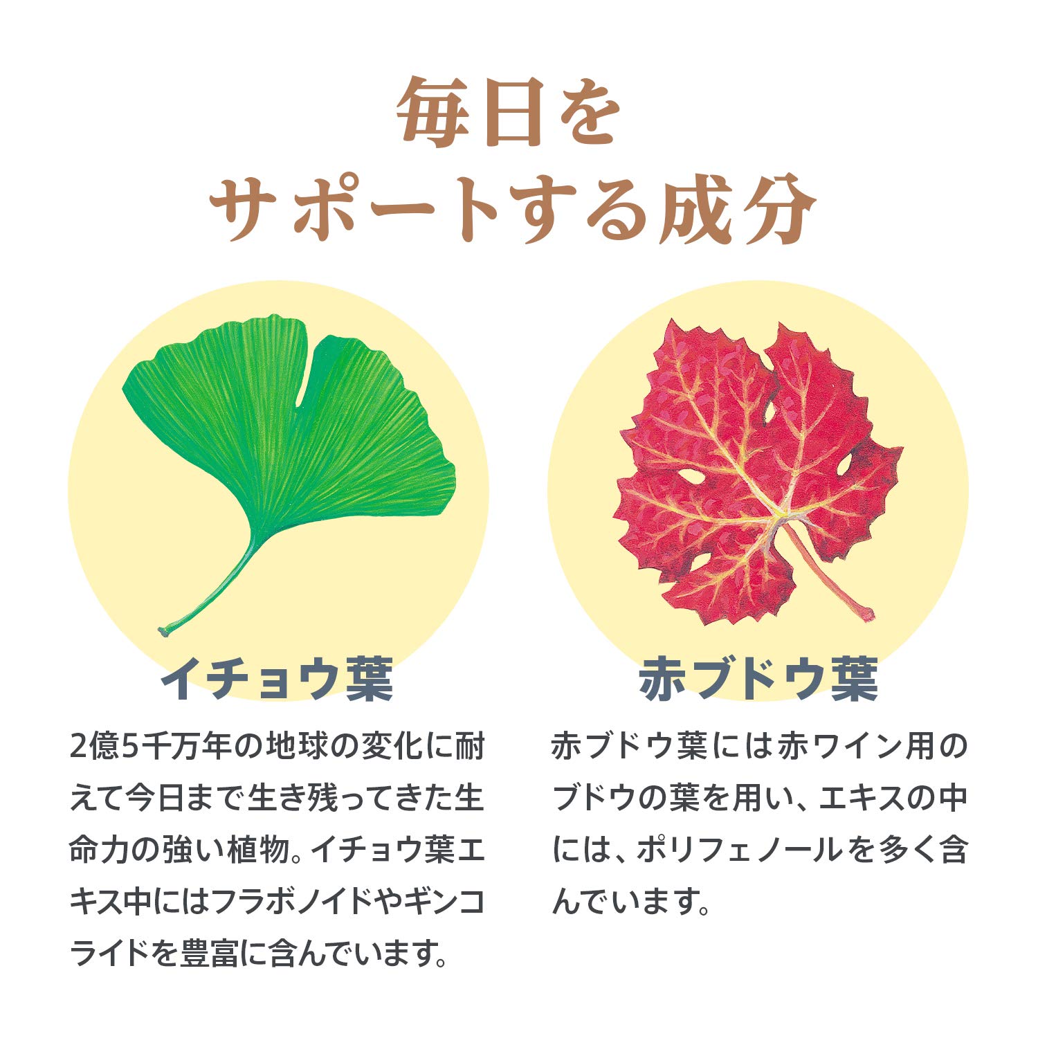 確認用30 Amazon | 佐藤製薬 サトウイチョウ葉 120粒 | 佐藤製薬 | イチョウ葉