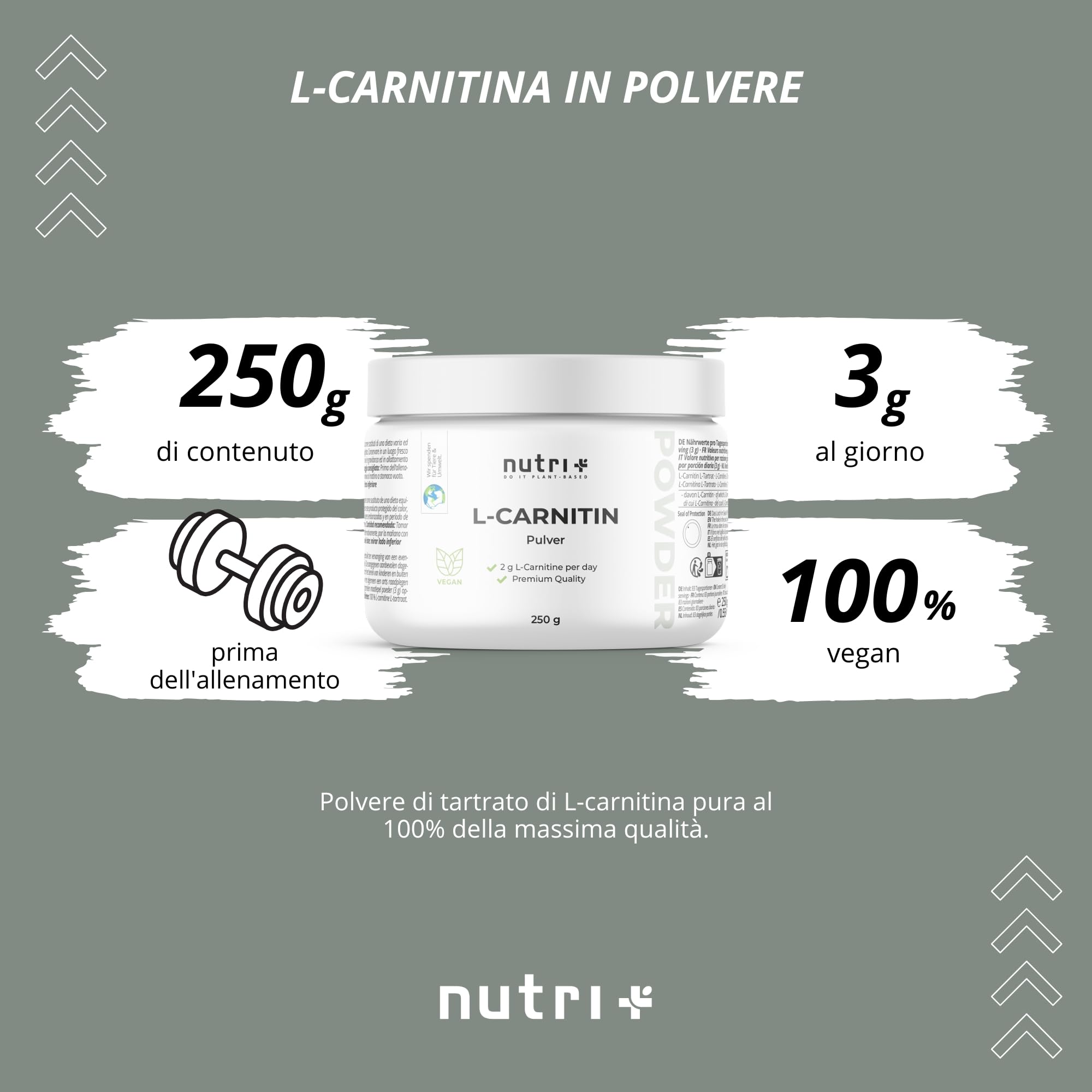 nutri + L-carnitina in Polvere - 100% Carnitina Tartrato vegan Pure Powder 250 g - 3000mg per Porzione - Acido tartarico senza Additivi
