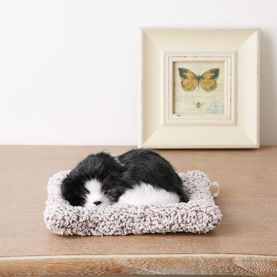 Little Pullip+ / Dog (犬) F-846 2mvetro 非常に良い】Little Pullip+ / Dog (犬) F-846 2mvetro