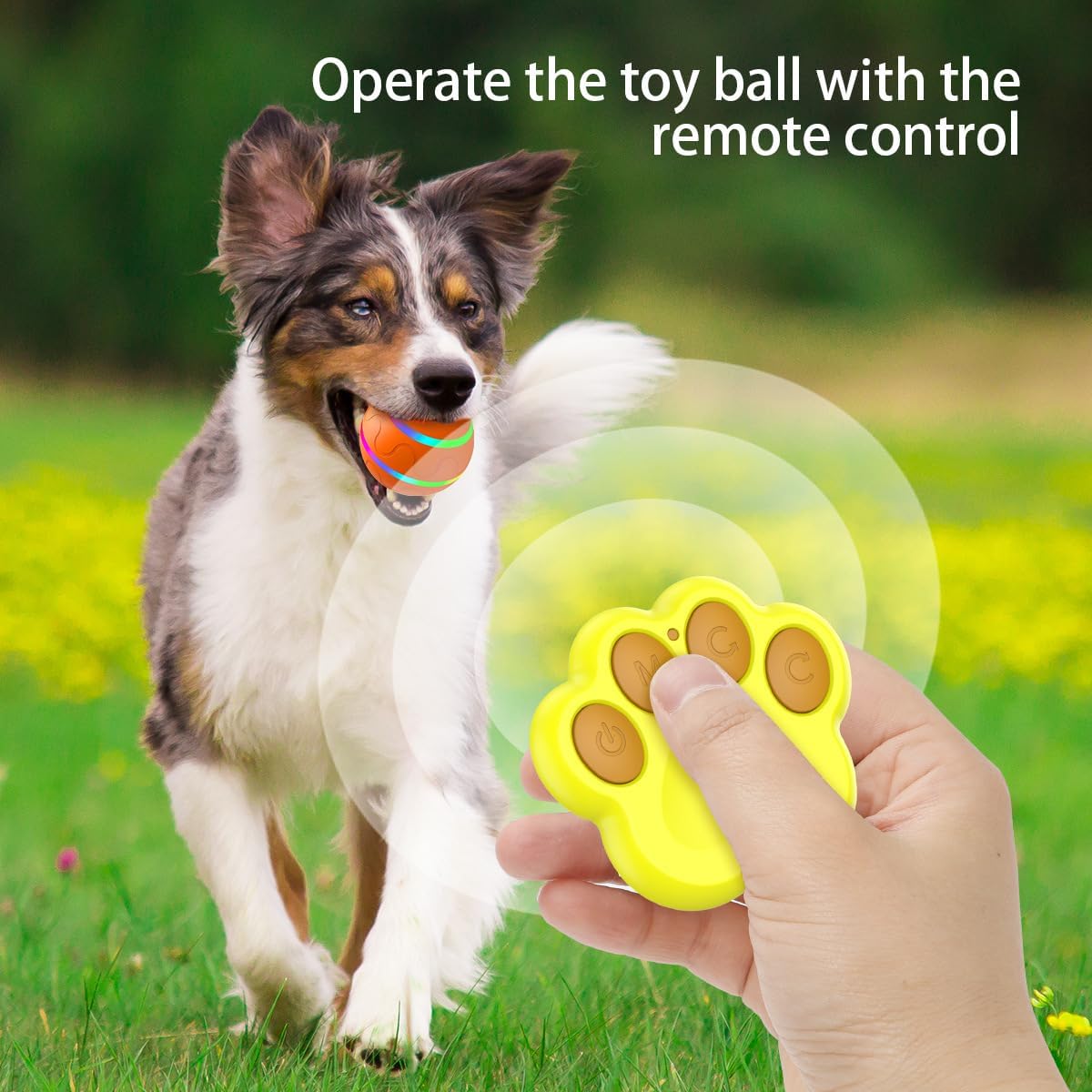 Ball Toy for Dogs, Waterproof Interactive Dog Toys Ball, Automatic Moving Dog Toy for Keep Them Busy, Remote Control Shaking Pet Ball, USB Rechargeable (Orange,with Remote Control)