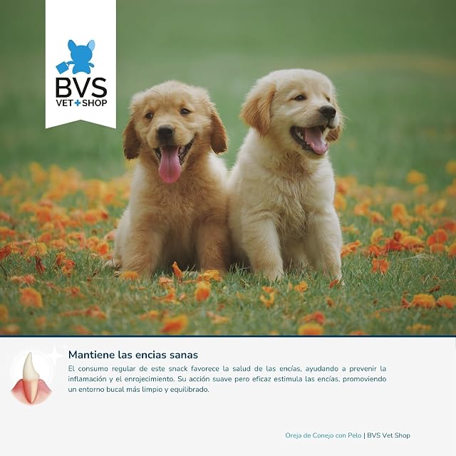 Foto 4 de 8 de BVS Vet Shop