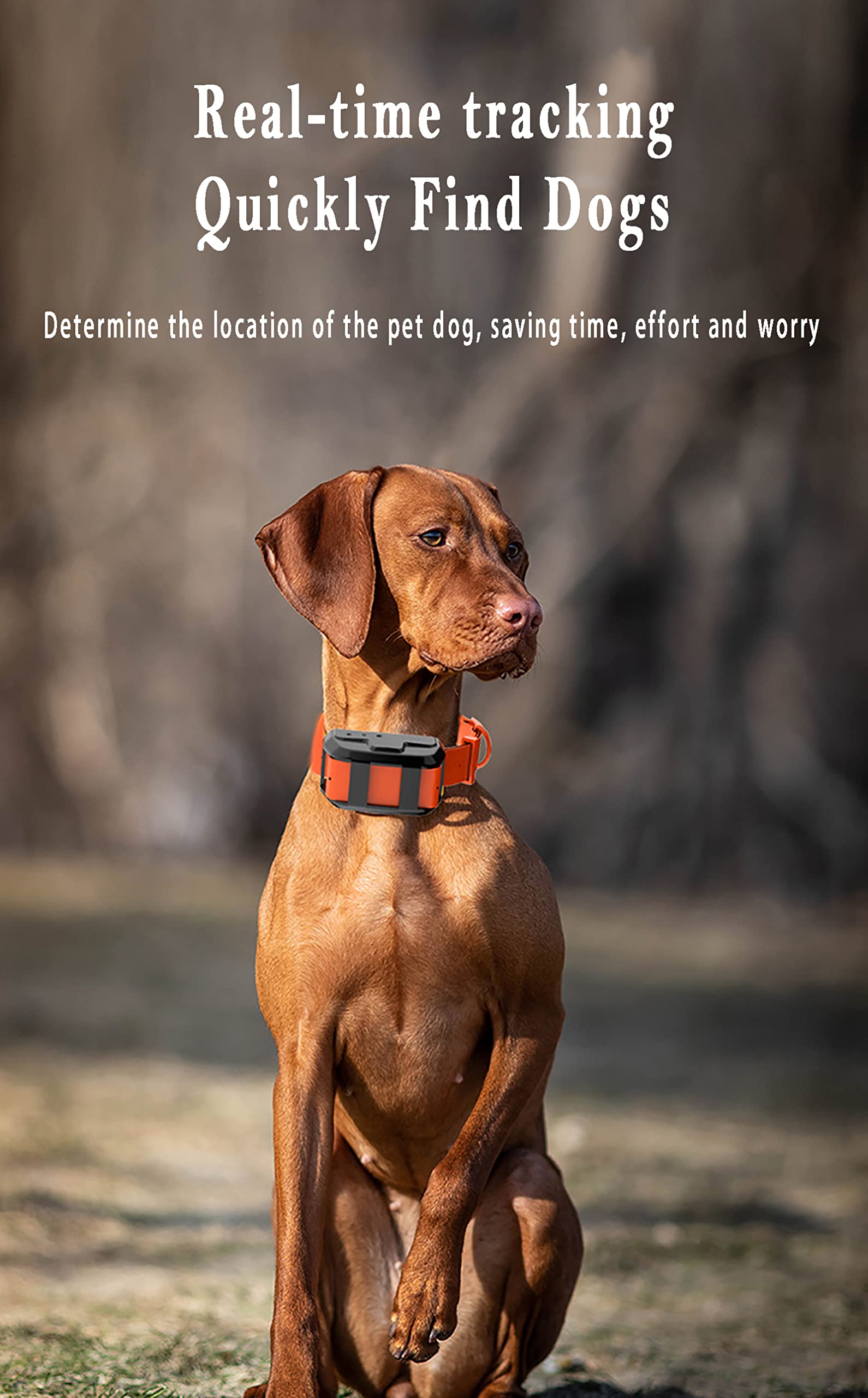 Localizador De Mascotas, Collar Anti-mordeduras para Sabuesos Grandes, Consulta De Huellas Históricas, Cambio Automático Entre Modos De Posicionamiento De Montaña, Pradera Y Bosque