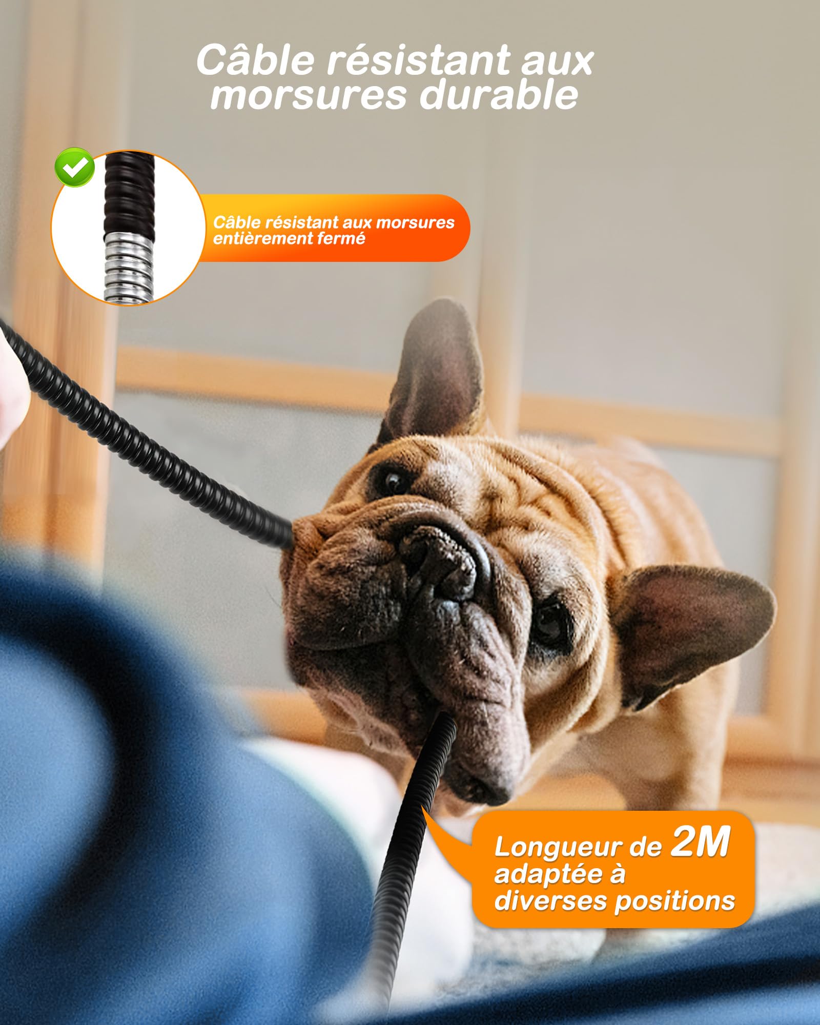 petnf Tapis Chauffant pour Chien et Chat 45 x 75 cm - Réglage 6 Températures, Minuterie 24h, Arrêt Automatique, Câble Anti-Morsure - Bleu