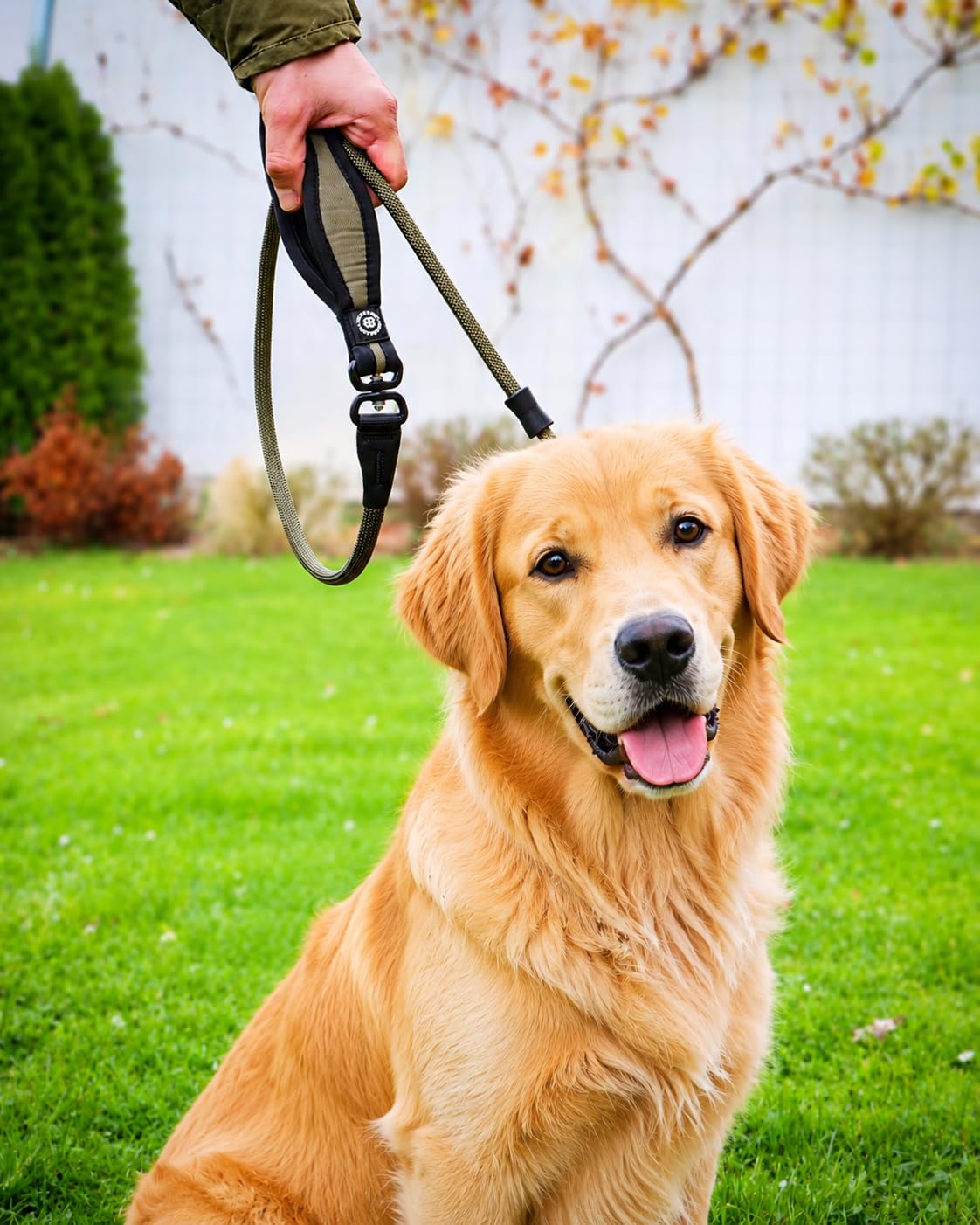 BullyBillows Guinzaglio da addestramento per cani |Dog Lead | Antistrappo e Antisoffocamento | 1,4 m con luce attiva | Materiali di alta qualità | Per cani forti e di tutte le razze |Nero