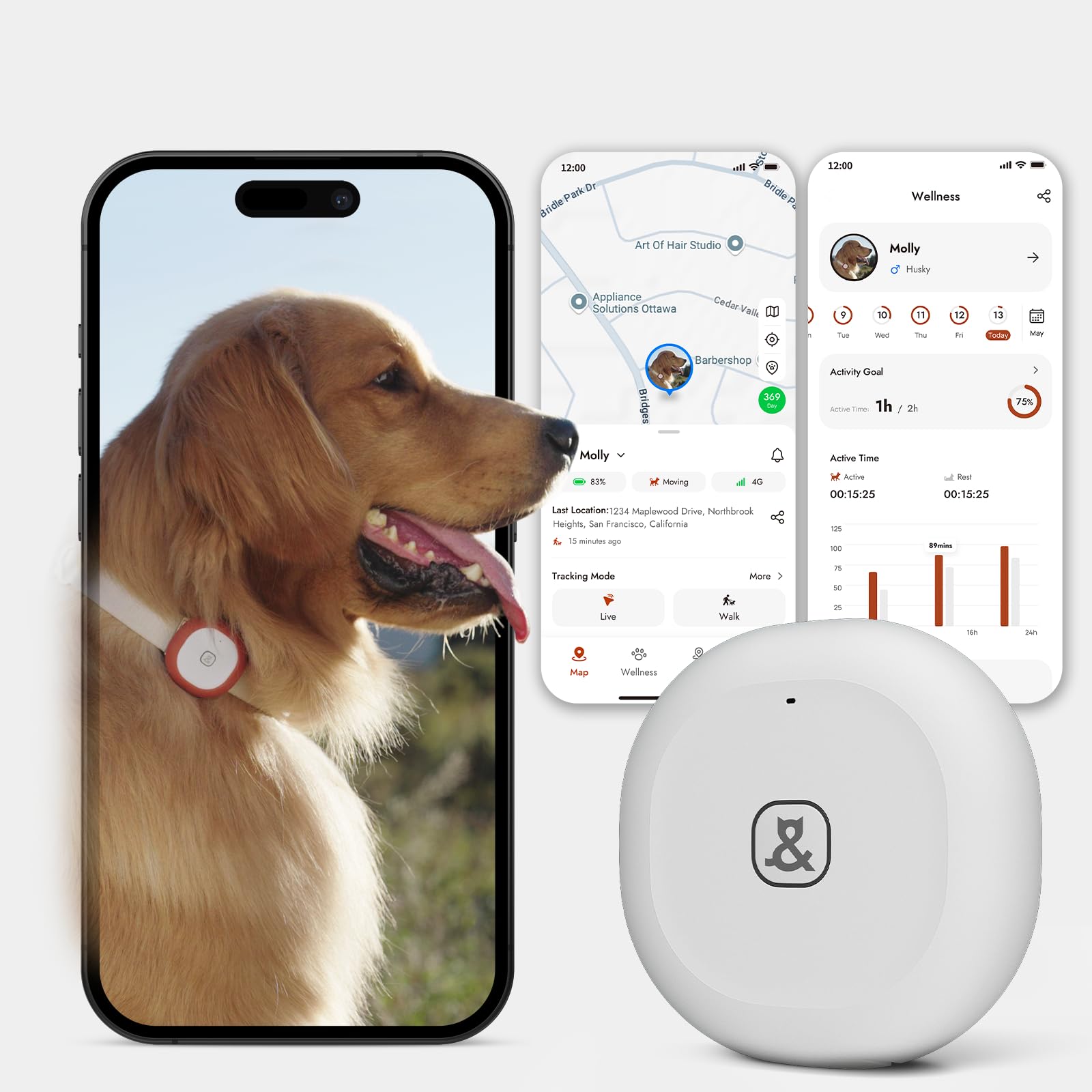 Photo 1 of Molly&Cody GPS + Bluetooth Pet Tracker for Cats & Dogs – Real?Time Tracking, Virtual Fence, IP67 Waterproof, Health Monitoring, iOS/Android – Subscription Required (White)
