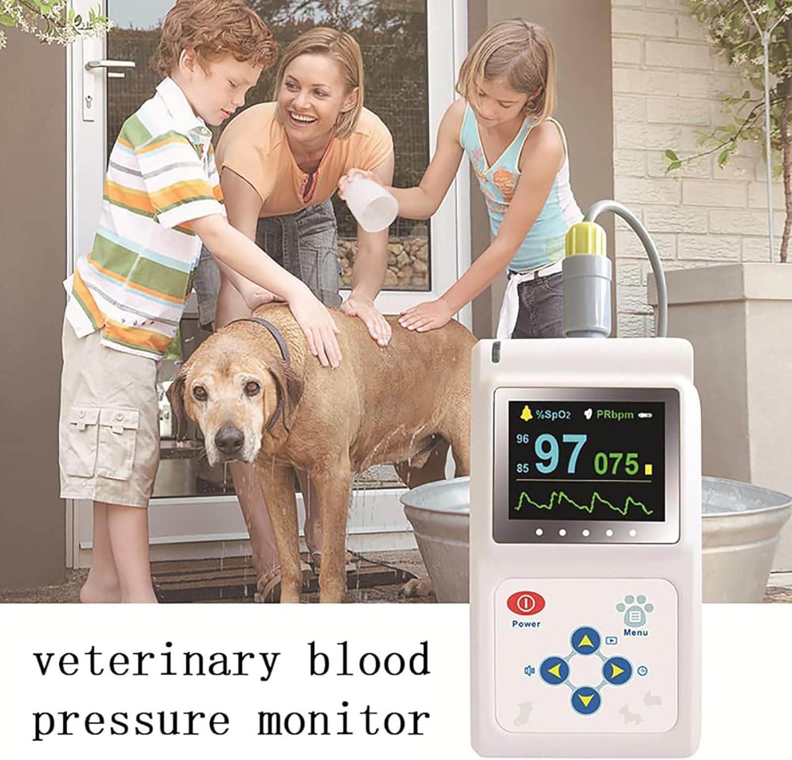 VeterinäRmedizinisches Arterielles BlutdruckmessgeräT, Haustier-Pulsoximeter, Herzfrequenzmesser Ohr/Zunge, Mit Sonde + USB-Kabel, Speicher- Und Wiedergabefunktion, FüR Katzen, Hunde