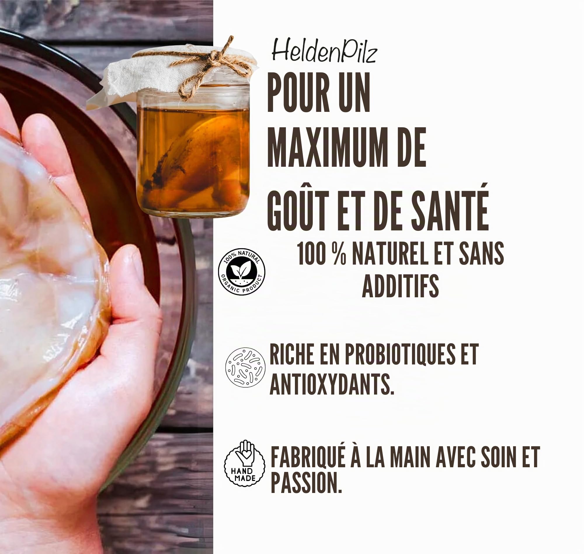 HeldenPilz® Champignon à thé bio Kombucha - Scoby vital et puissant avec liquide de racine | Pour 6 l de kombucha | Garantie de succès | 100 % naturel, durable