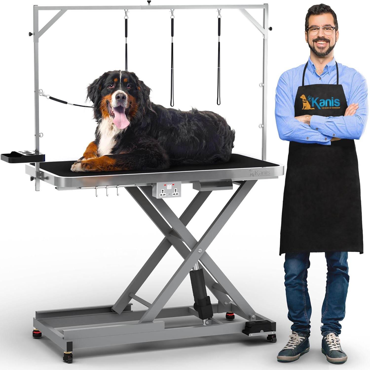 Professional Electric Dog Grooming Table Heavy Duty