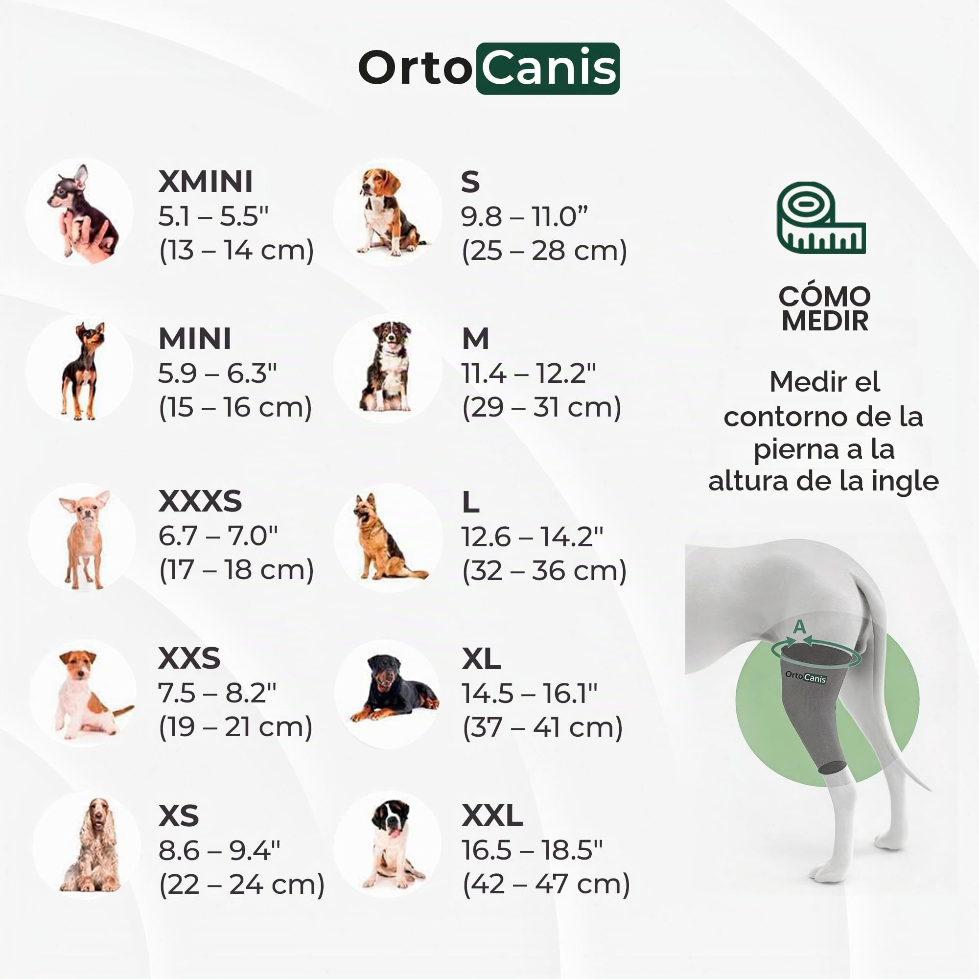 Ortocanis - Inmovilizador de Rodilla para Perro - Rodillera para Pierna Izquierda - Lesiones, Rotura de Ligamentos, Luxación de Rótula y Postoperatorio - Neopreno Especial - Talla: L de 33 a 36 cm