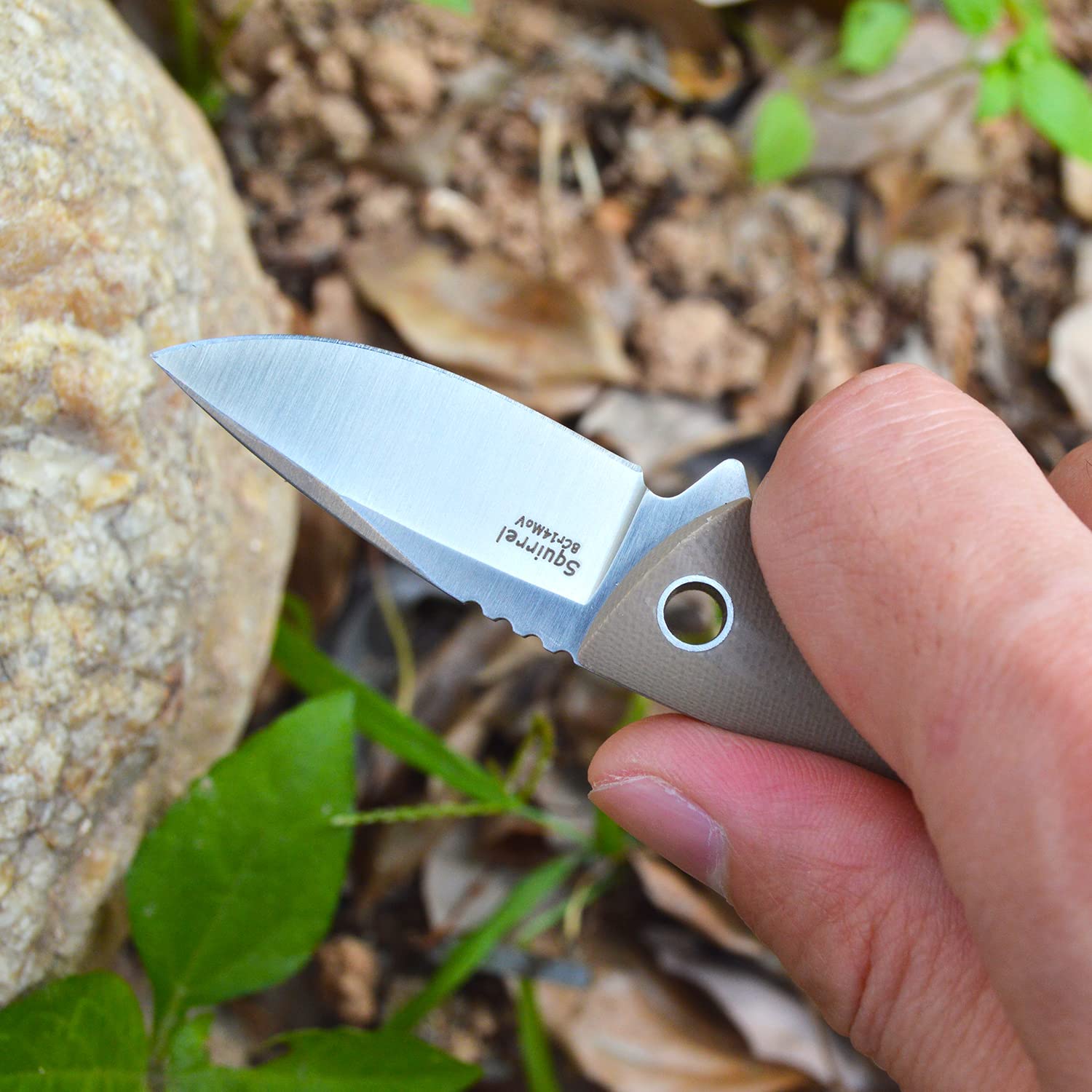 TONIFE Squirrel Full Tang Coltello da Collo Lama Fissa 4,3cm Totale 11,9cm con Fodero in Kydex e Catena a Sfera per Caccia, Campeggio, Sopravvivenza（Cachi）