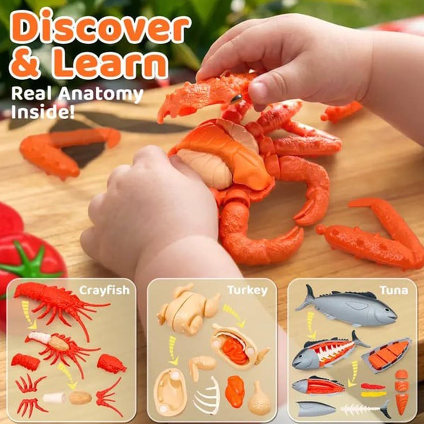 Juego de Cocina Infantil con Alimentos de - Desarrolla Habilidades Motoras Finas con - Comida- Cocina Infantil,para Niños Niñas Preescolares Hogar Viaje Guardería