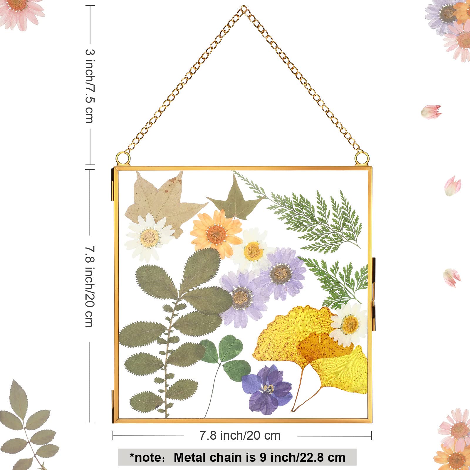 Amazon.co.jp: 押し花用ガラスフレーム 8 x 8インチ クリア 壁掛け