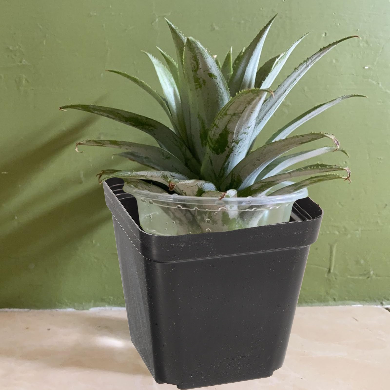 Gadpiparty Lot de 120 Pots en Plastique Noirs Carrés pour Semis avec Trous de Drainage, Réutilisables, Culture de Succulentes et Fleurs en Intérieur ou Extérieur