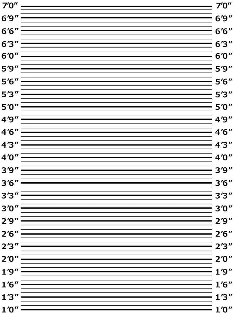 Mugshot Backdrop 5x7ft Police Lineup Height Chart Black line Decor Photo Photograpgy Background Accurate Measurements for Bachelorette Party, Girls Night Out, Birthday, Photo Studio Props